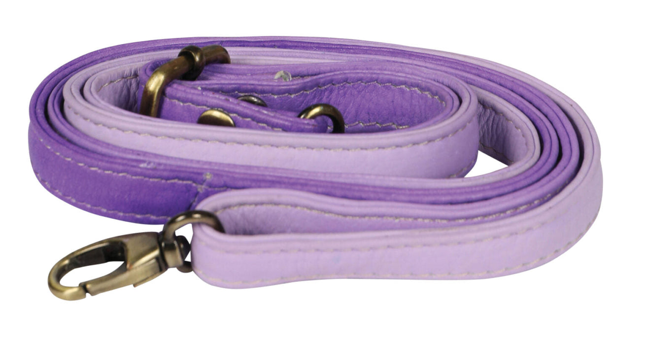 Modapelle Hand Painted Leather Crossbody Bag 3236