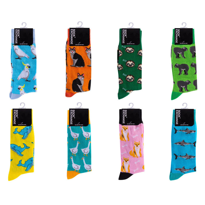 Novelty Fun Socks - New Designs - Single pair